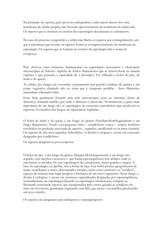 Na produção de esporos, pelo processo endogenético, cada esporo desenvolve uma
membrana de células própria, não havendo aproveitamento da membrana da célula mãe.
Os esporos que se formam no interior dos esporângios denominam-se endósporos.
No caso do processo exogenético, a célula mãe liberta os esporos por estrangulamento, em
que a membrana que envolve os esporos forma-se comaproveitamento da membrana do
esporângio. Os esporos que se formam no exterior do esporângio têm o nome de
exósporos.

Para observar estas estruturas fundamentais na esporulação recorremos à observação
microscópica de bolores- espécies de funfos filamentosos que se desenvolvem na matéria
orgânica e que possuem a capacidade de a decompor. Foi utilizado o bolor do pão, do
limão e do queijo.
As células dos fungos são revestidas externamente por paredes celulares de quitina e um
corpo vegetativo chamado talo ou soma que é composto porhifas - finos filamentos
unicelulares chamados hifas.
Estas hifas geralmente formam uma rede microscópica junto ao substrato (fonte de
alimento), chamada micélio, por onde o alimento é absorvido. Normalmente, a parte mais
importante de um fungo são os esporângios (as estruturas reprodutivas que produzem os
esporos). Os micélios dos fungos são tipicamente haplóides.
O bolor do limão e do queijo é um fungo do género Penicillium.Morfologicamente é um
fungo filamentoso. Tende a ter pequenas hifas – conidióforos curtos – corpos frutíferos
envolvidos na produção assexuada de esporos -, septados, ramificando-se na parte terminal.
Os esporos de têm uma superfície hidrofóbica. A divisão é exógena e ocorre em estruturas
designadas por condióforos.
Os esporos designam-se por exósporos.

O bolor do pão é um fungo do género Rhizopus.Morfologicamente é um fungo nãoseptado, com micélios cotonosos e que forma esporangióforos nos nódulos onde se
encontram os rizóides. Os seus esporângios são, usualmente, muito grandes e negros. A
base do esporângio, ou apófise, tem a forma de taça. Este bolor produz agrupamentos de
hastes semelhantes a raízes, denominados rizóides, assim como estolones ou "estolhos",
capazes de enraizar num lugar propício à formação de um novo organismo. Neste fungo, a
divisão é endógena e ocorre em estruturas especializadas designadas por esporangióforos,
nomeadamente em esporângios.Quando os esporângios amadurecem, rompem-se,
libertando centenasde esporos, que transportados pelo vento, quando as condições do
meio são favoráveis, germinam, originando uma hifa, que cresce e se ramifica, produzindo
um novo micélio.
Os esporos são designados por endósporos e esprangiósporos.

 