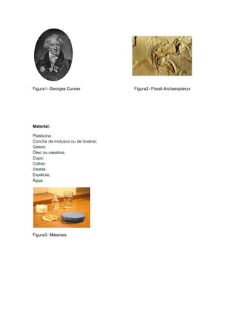 Figura1- Georges Curvier           Figura2- Fóssil Archaeopteryx




Material:

Plasticina;
Concha de molusco ou de bivalve;
Gesso;
Óleo ou vaselina;
Copo;
Colher;
Vareta;
Espátula;
Água.




Figura3- Materiais
 