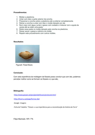 Procedimentos:

    1. Moldar a plasticina.
    2. Untar com óleo a parte exterior da concha.
    3. Pressionar a concha sobre a plasticina até a enterrar completamente.
    4. Retirar a concha e untar com óleo o molde deixado por ela.
    5. Num copo com água, juntar o gesso com cuidado e misturar com a ajuda da
       vareta até se obter uma pasta.
    6. Deitar essa pasta no molde deixado pela concha na plasticina.
    7. Deixar secar o gesso e retirá-lo do molde.
    8. Repetir este procedimento com outros moldes.



Resultados:




   Figura4- Fóssil Búzio



Conclusão:

Com esta experiência da moldagem de fósseis posso concluir que com isto, podemos
perceber melhor como se formam os fósseis e o que são.




Bibliografia:

-http://www.geopor.pt/gne/geolab/fosseis/protocolo.html

-http://fossil.uc.pt/pags/formac.dwt

-Google- Imagens

-Ficha de Trabalho: “Fósseis: a sua importância para a reconstituição da história da Terra”




Filipe Machado Nº9 7ºA
 