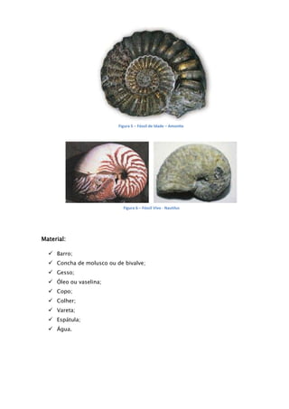 Figura 5 – Fóssil de Idade – Amonite




                            Figura 6 – Fóssil Vivo - Nautilus




Material:

   Barro;
   Concha de molusco ou de bivalve;
   Gesso;
   Óleo ou vaselina;
   Copo;
   Colher;
   Vareta;
   Espátula;
   Água.
 