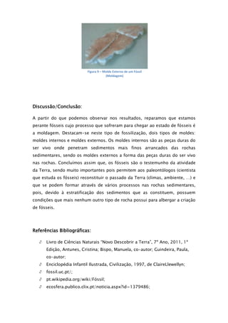 Figura 9 – Molde Externo de um Fóssil
                                       (Moldagem)




Discussão/Conclusão:

A partir do que podemos observar nos resultados, reparamos que estamos
perante fósseis cujo processo que sofreram para chegar ao estado de fósseis é
a moldagem. Destacam-se neste tipo de fossilização, dois tipos de moldes:
moldes internos e moldes externos. Os moldes internos são as peças duras do
ser vivo onde penetram sedimentos mais finos arrancados das rochas
sedimentares, sendo os moldes externos a forma das peças duras do ser vivo
nas rochas. Concluímos assim que, os fósseis são o testemunho da atividade
da Terra, sendo muito importantes pois permitem aos paleontólogos (cientista
que estuda os fósseis) reconstituir o passado da Terra (climas, ambiente, …) e
que se podem formar através de vários processos nas rochas sedimentares,
pois, devido à estratificação dos sedimentos que as constituem, possuem
condições que mais nenhum outro tipo de rocha possui para albergar a criação
de fósseis.




Referências Bibliográficas:

      Livro de Ciências Naturais “Novo Descobrir a Terra”, 7º Ano, 2011, 1ª
      Edição, Antunes, Cristina; Bispo, Manuela, co-autor; Guindeira, Paula,
      co-autor;
      Enciclopédia Infantil Ilustrada, Civilização, 1997, de ClaireLlewellyn;
      fossil.uc.pt/;
      pt.wikipedia.org/wiki/Fóssil;
      ecosfera.publico.clix.pt/noticia.aspx?id=1379486;
 