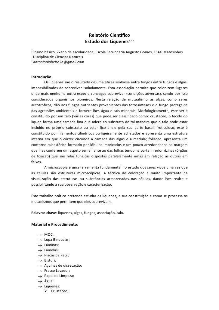 Modelo de relatorio de pesquisa Modelo de relatorio de pesquisa