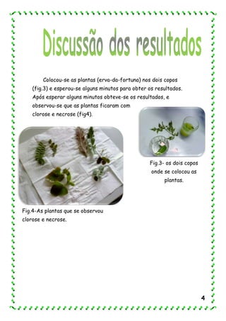 Colocou-se as plantas (erva-da-fortuna) nos dois copos
(fig.3) e esperou-se alguns minutos para obter os resultados.
Após esperar alguns minutos obteve-se os resultados, e
observou-se que as plantas ficaram com
clorose e necrose (fig4).
Fig.3- os dois copos
onde se colocou as
plantas.
Fig.4-As plantas que se observou
clorose e necrose.
4
 