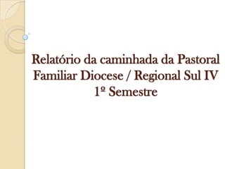 Relatório da caminhada da Pastoral Familiar Diocese / Regional Sul IV  1º Semestre 