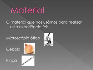O material que nos usámos para realizar
  esta experiência foi:

Microscópio ótico

Cebola

Pinça
 