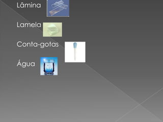 Lâmina

Lamela

Conta-gotas

Água
 