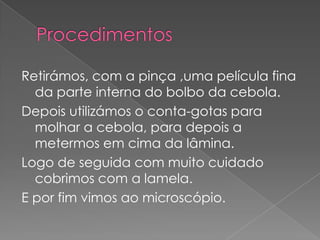 Retirámos, com a pinça ,uma película fina
  da parte interna do bolbo da cebola.
Depois utilizámos o conta-gotas para
  molhar a cebola, para depois a
  metermos em cima da lâmina.
Logo de seguida com muito cuidado
  cobrimos com a lamela.
E por fim vimos ao microscópio.
 