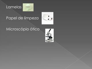 Lamelas

Papel de limpeza

Microscópio ótico
 