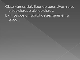 Observámos dois tipos de seres vivos: seres
  unicelulares e pluricelulares.
E vimos que o habitat desses seres é na
  água.
 