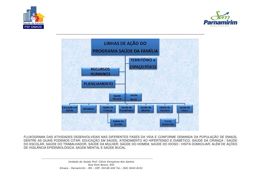 Relat rio Das Atividades PSF Ema s