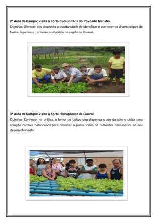 2ª Aula de Campo: visita à Horta Comunitária do Povoado Matinha.
Objetivo: Oferecer aos discentes a oportunidade de identificar e conhecer os diversos tipos de
frutas, legumes e verduras produzidos na região de Guaraí.




3ª Aula de Campo: visita à Horta Hidropônica de Guaraí.
Objetivo: Conhecer na prática, a forma de cultivo que dispensa o uso do solo e utiliza uma
solução nutritiva balanceada para oferecer à planta todos os nutrientes necessários ao seu
desenvolvimento.
 