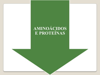 AMINOÁCIDOS
E PROTEÍNAS
 