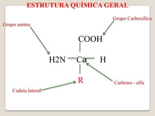 ESTRUTURA QUÍMICA GERAL
                                   Grupo Carboxílico
Grupo amino


                          COOH

                    H2N   Ca   H

                          R        Carbono - alfa
   Cadeia lateral
 