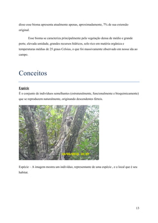 disso esse bioma apresenta atualmente apenas, aproximadamente, 7% de sua extensão
original.

         Esse bioma se caracteriza principalmente pela vegetação densa de médio e grande
porte, elevada umidade, grandes recursos hídricos, solo rico em matéria orgânica e
temperaturas médias de 25 graus Celsius, o que foi massivamente observado em nossa ida ao
campo.




Conceitos
Espécie
É o conjunto de indivíduos semelhantes (estruturalmente, funcionalmente e bioquimicamente)
que se reproduzem naturalmente, originando descendentes férteis.




Espécie – A imagem mostra um indivíduo, representante de uma espécie , e o local que é seu
habitat.




                                                                                           13
 