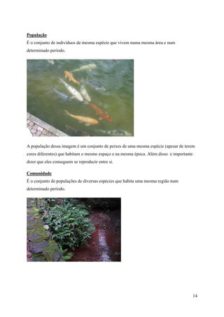 População
É o conjunto de indivíduos de mesma espécie que vivem numa mesma área e num
determinado período.




A população dessa imagem é um conjunto de peixes de uma mesma espécie (apesar de terem
cores diferentes) que habitam o mesmo espaço e na mesma época. Além disso e importante
dizer que eles conseguem se reproduzir entre si.

Comunidade
É o conjunto de populações de diversas espécies que habita uma mesma região num
determinado período.




                                                                                         14
 