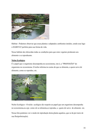 Habitat - Podemos observar que essas plantas e adaptada a ambientes úmidos, sendo esse lago
o HABITAT perfeito para sua forma de vida.

Nesse habitat são oferecidas todas as condições para que estes vegetais produzam seu
alimento e se reproduzam.

Nicho Ecológico
É o papel que o organismo desempenha no ecossistema, isto é, a "PROFISSÃO" do
organismo no ecossistema. O nicho informa às custas de que se alimenta, a quem serve de
alimento, como se reproduz, etc.




Nicho Ecológico - O nicho ecológico diz respeito ao papel que um organismo desempenha
no ecossistema,ou seja como ele se alimenta,se reproduz, a quem ele serve de alimento etc.

Nessa foto podemos ver o modo de reprodução desta planta aquática, que se da por meio de
sua flor(polinização).




                                                                                           16
 