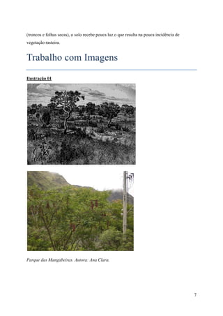 (troncos e folhas secas), o solo recebe pouca luz o que resulta na pouca incidência de
vegetação rasteira.


Trabalho com Imagens
Ilustração 01




Parque das Mangabeiras. Autora: Ana Clara.




                                                                                         7
 