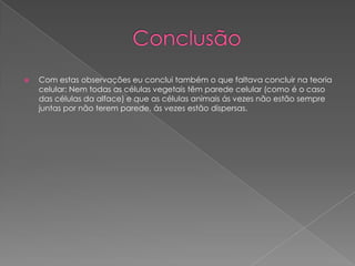 

Com estas observações eu conclui também o que faltava concluir na teoria
celular: Nem todas as células vegetais têm parede celular (como é o caso
das células da alface) e que as células animais ás vezes não estão sempre
juntas por não terem parede, ás vezes estão dispersas.

 