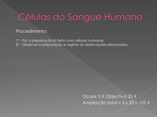 Procedimento:
1º - Por a preparação já feita com células humanas.
2º - Observar a preparação e registar as observações efectuadas.

Ocular 5 X Objectiva 25 X
Ampliação total = 5 x 25 = 125 X

 