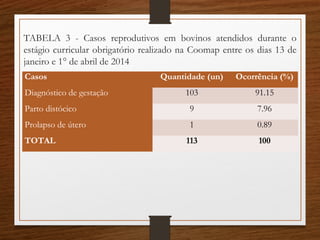 TABELA 3 - Casos reprodutivos em bovinos atendidos durante o
estágio curricular obrigatório realizado na Coomap entre os dias 13 de
janeiro e 1° de abril de 2014
Casos Quantidade (un) Ocorrência (%)
Diagnóstico de gestação 103 91.15
Parto distócico 9 7.96
Prolapso de útero 1 0.89
TOTAL 113 100
 