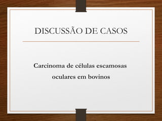 DISCUSSÃO DE CASOS
Carcinoma de células escamosas
oculares em bovinos
 