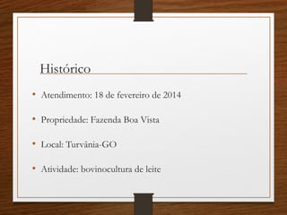 Histórico
• Atendimento: 18 de fevereiro de 2014
• Propriedade: Fazenda Boa Vista
• Local: Turvânia-GO
• Atividade: bovinocultura de leite
 