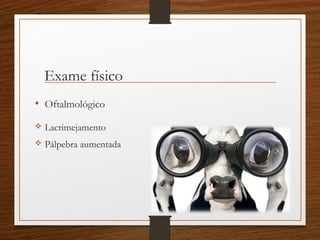 Exame físico
• Oftalmológico
 Lacrimejamento
 Pálpebra aumentada
 