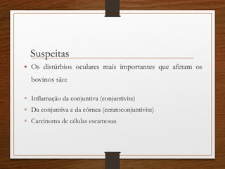 • Os distúrbios oculares mais importantes que afetam os
bovinos são:
 Inflamação da conjuntiva (conjuntivite)
 Da conjuntiva e da córnea (ceratoconjuntivite)
 Carcinoma de células escamosas
Suspeitas
 