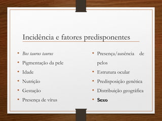• Bos taurus taurus
• Pigmentação da pele
• Idade
• Nutrição
• Gestação
• Presença de vírus
Incidência e fatores predisponentes
• Presença/ausência de
pelos
• Estrutura ocular
• Predisposição genética
• Distribuição geográfica
• SexoSexo
 
