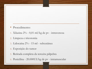 • Procedimento:
1. Xilazina 2% - 0,01 ml/kg de pv - intravenosa
2. Limpeza e tricotomia
3. Lidocaína 2% - 15 ml - subcutânea
4. Exposição do tumor
5. Retirada completa da terceira pálpebra
6. Penicilina - 20.000UI/kg de pv - intramuscular
 