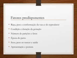 Fatores predisponentes
• Raça, peso e conformação da vaca e do reprodutor
• Condição e duração da gestação
• Número de parições e fetos
• Época do parto
• Sexo, peso ao nascer e saúde
• Apresentação e postura
 