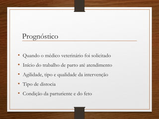 Prognóstico
• Quando o médico veterinário foi solicitado
• Início do trabalho de parto até atendimento
• Agilidade, tipo e qualidade da intervenção
• Tipo de distocia
• Condição da parturiente e do feto
 