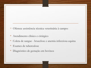 o Oferece assistência técnica veterinária à campo:

Atendimento clínico e cirúrgico

Coleta de sangue - brucelose e anemia infecciosa equina

Exames de tuberculose

Diagnóstico de gestação em bovinos
 