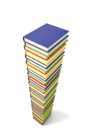 4   • De Olho nas Metas • 2009
 