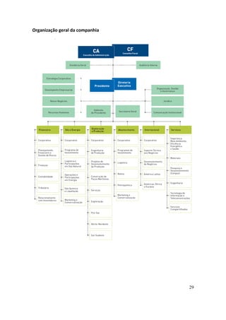 Organização geral da companhia




                                 29
 