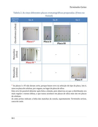 Terminalia Cortex

  Tabela 2. As cinco diferentes placas cromatográficas preparadas. (Fotos no
                                    Visível)
Extracto
 (Placa)
                             Sis A                 Sis B                       Sis C
   Clorofórmico (sílica)




                                                                                  -


                           Placa I *    Placa II
                                                          Placa III
 Metanólico
  (sílica)




                                                      -                           -


                           Placa IV *
 Metanólico
 (celulose)




                               -                      -


                                                                              Placa V

* As placas I e IV não deram certo, porque houve erro na selecção do tipo da placa, isto é,
usou-se placa de celulose, por engano, no lugar de placa de sílica.
Este erro foi possível detectar após feita a eluição, pois observou-se que a distribuição era
mais regular e menos difusa, o que nunca acontece em placas de sílica más sim em placas
de celulose.
As setas pretas indicam a linha das manchas da conola, supostamente Terminalia serícea,
casca do caule.




11 |
 