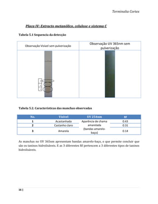 Terminalia Cortex



       Placa IV: Extracto metanólico, celulose e sistema C

Tabela 5.1 Sequencia da detecção

                                                      Observação UV 365nm sem
       Observação Visível sem pulverização
                                                            pulverização




                  1

                  2

                  3




Tabela 5.2. Características das manchas observadas

           No.                  Visível            UV 254nm                     Rf
            1                 Acastanhada      Aparência de chama              0.43
            2                Castanho claro        amarelada                   0.31
                                                (bandas amarelo-
            3                   Amarela                                        0.14
                                                     baço)

As manchas no UV 365nm apresentam bandas amarelo-baço, o que permite concluir que
são os taninos hidrolisáveis. E as 3 diferentes Rf pertencem a 3 diferentes tipos de taninos
hidrolisáveis.




16 |
 