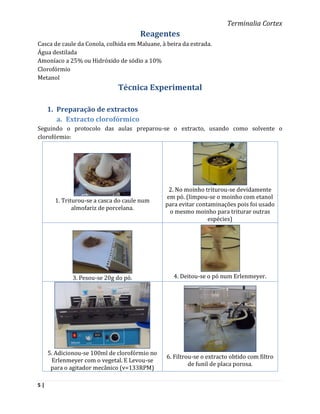 Terminalia Cortex
                                      Reagentes
Casca de caule da Conola, colhida em Maluane, à beira da estrada.
Água destilada
Amoníaco a 25% ou Hidróxido de sódio a 10%
Clorofórmio
Metanol
                              Técnica Experimental

     1. Preparação de extractos
        a. Extracto clorofórmico
Seguindo o protocolo das aulas preparou-se o extracto, usando como solvente o
clorofórmio:




                                                2. No moinho triturou-se devidamente
                                               em pó. (limpou-se o moinho com etanol
       1. Triturou-se a casca do caule num
                                               para evitar contaminações pois foi usado
              almofariz de porcelana.
                                                o mesmo moinho para triturar outras
                                                               espécies)




             3. Pesou-se 20g do pó.               4. Deitou-se o pó num Erlenmeyer.




     5. Adicionou-se 100ml de clorofórmio no
                                                6. Filtrou-se o extracto obtido com filtro
      Erlenmeyer com o vegetal. E Levou-se
                                                         de funil de placa porosa.
      para o agitador mecânico (v=133RPM)

5|
 