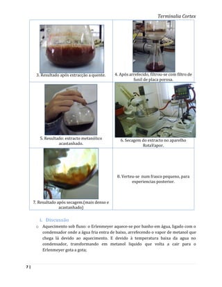 Terminalia Cortex




      3. Resultado após extracção a quente.    4. Após arrefecido, filtrou-se com filtro de
                                                         funil de placa porosa.




        5. Resultado: extracto metanólico         6. Secagem do extracto no aparelho
                  acastanhado.                               RotaVapor.




                                                8. Verteu-se num frasco pequeno, para
                                                        experiencias posterior.



     7. Resultado após secagem.(mais denso e
                   acastanhado)

        i. Discussão
      o Aquecimento sob fluxo: o Erlenmeyer aquece-se por banho em água, ligado com o
        condensador onde a água fria entra de baixo, arrefecendo o vapor de metanol que
        chega lá devido ao aquecimento. E devido à temperatura baixa da agua no
        condensador, transformando em metanol liquido que volta a cair para o
        Erlenmeyer gota a gota;


7|
 