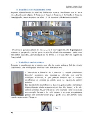 Terminalia Cortex
      b. Identificação de alcalóides livres
Seguindo o procedimento do protocolo dividiu-se o extracto clorofórmico com HCl em 4
tubos. E juntou-se 2 a 3gotas de Reagente de Mayer, de Reagente de Bertrand e de Reagente
de Draggendorf respectivamente em tubos 1, 2 e 3. Deixou-se tubo 4 como testemunha.




       1              2            3              4




- Observou-se que em nenhum dos tubos, 1, 2 e 3, houve aparecimento de precipitados
evidentes, o que permite concluir que o extracto clorofórmico da amostra de conola usada
não contém alcalóides. A cor alaranjada do 3 é devido ao iodo que estava no reagente de
Draggendorf.

      c. Identificação de quinonas
Seguindo o procedimento do protocolo, num tubo de ensaio, juntou-se 3mL de extracto
clorofórmico, 1mL de solução de amoníaco e 1mL de NaOH a 10%.

                 - Observou-se a formação de 2 camadas. A camada clorofórmica
                 (superior) apresentou uma mudança de coloração para amarelo
                 alaranjado acentuado, o que permite concluir que o extracto
                 clorofórmico da amostra de conola usada na experiencia, contém
                 quinonas.
                 Este resultado foi insatisfatório e duvidoso, pois quanto á referências
                 bibliográficas(incluindo o comentário da Dra Elsa Gomes) a T.s não
                 contém quinonas; Daí, acredita-se que este resultado é consequência da
                 contaminação das cascas do caule, durante o seu corte em pequenos
                 pedaços com a mesma tesoura (Fig.a) que foi usada para cortar a outra
espécie, supostamente Diospyrus.




                                                      Fig.a

9|
 
