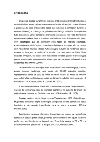 INTRODUÇÃO
Os peixes ósseos surgiram do inicio ao médio siluriano também chamado
de osteichtlyes, esses peixes e seus descendentes tetrápodes compartilharam
a presença do osso endocondrial (osso que substitui a cartilagem durante o
desenvolvimento) a presença de pulmões uma bexiga natatória derivados do
tubo digestório e vários caracteres cranianos e dentários. Por volta do meio do
devoniano os peixes ósseos já tinham irradiado em duas linhagens principais,
com adaptações que os ajustavam para todos os habitats aquáticos,
excetuando os mais inóspitos. Uma destas linhagens principais são os peixes
com nadadeiras raiadas (classe Actinopterygii) incluem os modernos peixes
ósseos, a linhagem de vertebrados atuais com mais ricas espécies. Uma
segunda linhagem, os peixes com nadadeiras lobadas (classe Sarcopterygii)
possui apenas sete representantes atuais, que são os peixes pulmonados e o
celacantos (HICKMAMN, 2009).
Os teleósteos é a linhagem mais diversificada dos neopterígeos, são os
peixes ósseos modernos, com cerca de 23.600 espécies escritas,
representando cerca de 96% de todos os peixes atuais, ou cerca de metade
dos vertebrados, os teleósteos variam de tamanho, adultos com cerca de 10
mm até os 17m (Chacon, DMM & Luchiari, AC. 2011).
A sardinha-verdadeira, Sardinella brasiliensis é um peixe ósseo teleósteo,
espécie da família Clupeidae de interesse econômico no sudeste do Brasil. Foi
originalmente descrita por Steindachner, em 1879.(Castello, J.P. 2007).
O peixe marinho tainha, Mugil curema Valenciennes, 1836 (Osteichthyes:
Mugilidae) apresenta ampla distribuição geográfica, sendo comum na costa
brasileira e de grande importância para a pesca artesanal. (Mônica
Oliveira.2010).
Trachinotus carolinus ,Canguira, frequentam as costas, de preferência
rochosas e batidas pelas ondas, podendo ser encontrados em águas rasas ou
profundas, também dentro de largas tocas. Em média medem de 30 a 60 cm
de comprimento e pesam de 1 a 3 Kg.(SZPILMAN, Marcelo.2000).
 