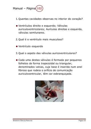 Relatório Ciências Naturais Página 10
Manual – Página 102
1. Quantas cavidades observas no interior do coração?
Ventrículos direito e esquerdo; Válvulas
auriculoventricolares; Aurículas direitas e esquerda,
válvulas semilunares.
2. Qual é o ventrículo mais musculoso?
Ventrículo esquerdo
3. Qual o aspeto das válvulas auricoventriculares?
Cada uma destas válvulas é formada por pequenos
folhetos de forma trapezoidal ou triangular,
denominados valvas, cuja base é inserida num anel
fibroso que rodeia o orifício de comunicação
auriculoventricular, têm cor esbranquiçada.
 