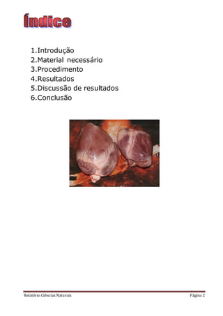 Relatório Ciências Naturais Página 2
1.Introdução
2.Material necessário
3.Procedimento
4.Resultados
5.Discussão de resultados
6.Conclusão
 