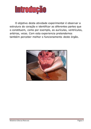 Relatório Ciências Naturais Página 3
O objetivo desta atividade experimental é observar a
estrutura do coração e identificar as diferentes partes que
o constituem, como por exemplo, as aurículas, ventrículos,
artérias, veias. Com esta experiencia pretendemos
também perceber melhor o funcionamento deste órgão.
 