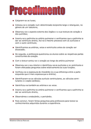 Relatório Ciências Naturais Página 5
Calçaram-se as luvas;
Colocou-se o coração num determinado recipiente largo e retangular, no
género de um tabuleiro;
Observou-se o aspecto externo dos órgãos e a sua textura do coração e
dos pulmões;
Inseriu-se a palhinha na artéria pulmonar e verificamos que a palhinha ia
dar ao ventrículo direito, fez-se o mesmo processo com as aurículas e
com o outro ventrículo;
Identificamos as artérias, veias e ventrículos antes do coração ser
dissecado;
De seguida, a professora questionou os alunos sobre as respetivas partes
constituintes do coração.
Com o bisturi cortou-se o coração ao longo da artéria pulmonar
Observou-se o seu interior e identificou-se as aurículas e os ventrículos e
foram efetuadas perguntas sobre relativamente às suas funções.
Verificou-se a espessura do miocárdio (e a sua diferença entre a parte
esquerda que é mais espessa que a direita).
Identificaram-se as válvulas aurículo ventriculares, as válvulas semi-
lunares e o septo cardíaco;
Identificou-se também as artérias e as veias.
Inseriu-se a palhinha na artéria pulmonar e verificamos que a palhinha ia
dar ao ventrículo direito,
Observámos o endocárdio, o pericárdio.
Para concluir, foram feitas perguntas pela professora para testar os
conhecimentos adquiridos durante a experiência.
 