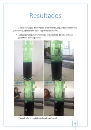 6 
Resultados 
Após a realização da atividade experimental, seguindo corretamente 
o protocolo, apresentam-se os seguintes resultados: 
 Após alguns segundos, verificou-se a ascensão de uma camada 
gelatinosa esbranquiçada. 
Figuras 5, 6, 7 e 8 – resultados da atividade experimental 
 