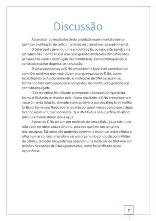 7 
Discussão 
Ao analisar os resultados desta atividade experimental pode-se 
justificar a utilização de certos materiais no procedimento experimental. 
O detergente permitiu uma emulsificação, ou seja, este penetra na 
estrutura das membranas e separa as grandes moléculas de fosfolípidos, 
provocando assim a destruição das membranas. Como consequência, o 
conteúdo nuclear dispersa-se na solução. 
O sal proporcionou ao DNA um ambiente favorável, contribuindo 
com iões positivos que neutralizam a carga negativa do DNA, assim 
estabilizando-o. Adicionalmente, as moléculas de DNA agregam-se, 
formando filamentos espessos e compridos, de constituição gelatinosa e 
cor esbranquiçada. 
O álcool etílico foi utilizado a temperaturas baixas porque desta 
forma o DNA não se dissolve nele. Como resultado, o DNA precipitou-se e 
separou-se da solução, tornado assim possível a sua visualização e recolha. 
O álcool torna-se o fluido sobrenadante porque é menos denso que a água, 
ficando assim a flutuar sobre esta. Já o DNA flutua na superfície do álcool 
porque é menos denso que a água. 
Apesar do DNA ser a maior molécula de uma célula, a sua estrutura 
não pode ser observada a olho nu, uma vez que tem um tamanho 
microscópico. Tal como não podemos observar a maior parte das células a 
olho nu mas conseguimos observar um organismo composto por milhões 
de células, também não podemos observar uma molécula de DNA mas sim 
milhões de cadeias de DNA aglomeradas, como foi verificado nesta 
experiência. 
 