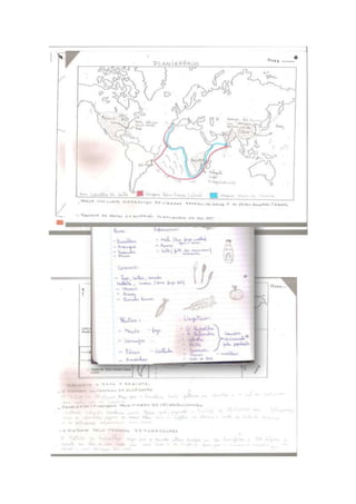 Numa          das
nossas    aulas   o
nosso       colega
de          turma
António   Pinheiro
fez uma
 