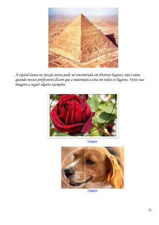 32
A espiral áurea ou Secção áurea pode ser encontrada em diversos lugares, não é atoa
quando nossos professores dizem que a matemática esta em todos os lugares. Verás nas
imagens a seguir alguns exemplos.
*Imagem
*Imagem
 