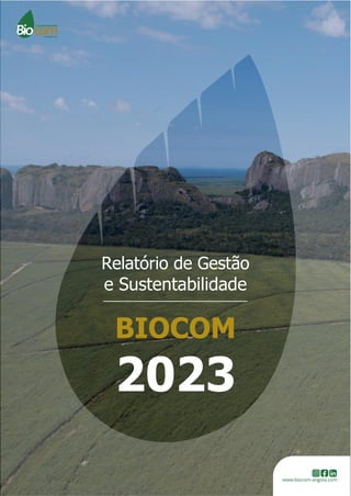 Relatório e contas da Biocom - Angolapdf | PDF
